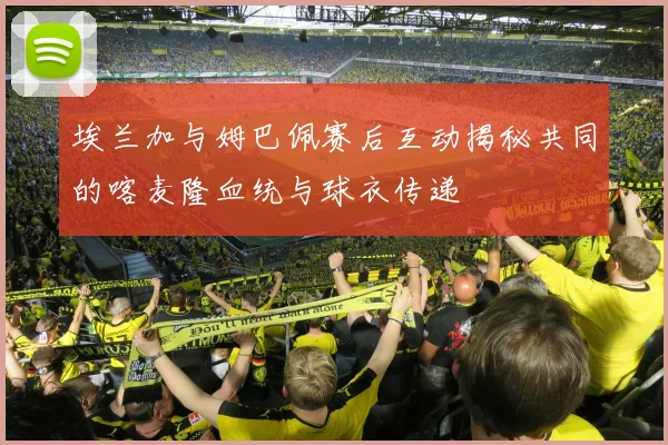 埃兰加与姆巴佩赛后互动揭秘共同的喀麦隆血统与球衣传递